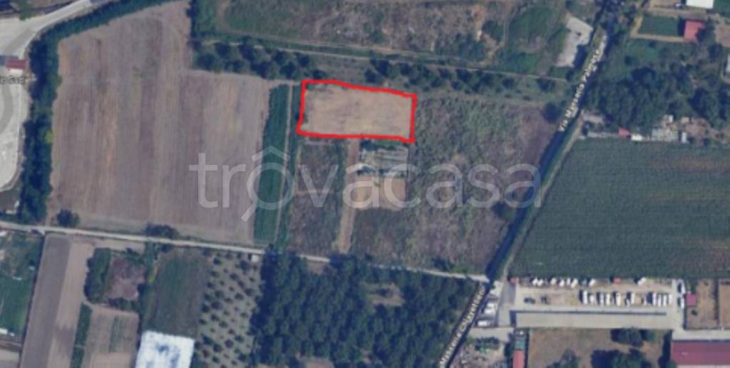 immagine annuncio 10 di 11