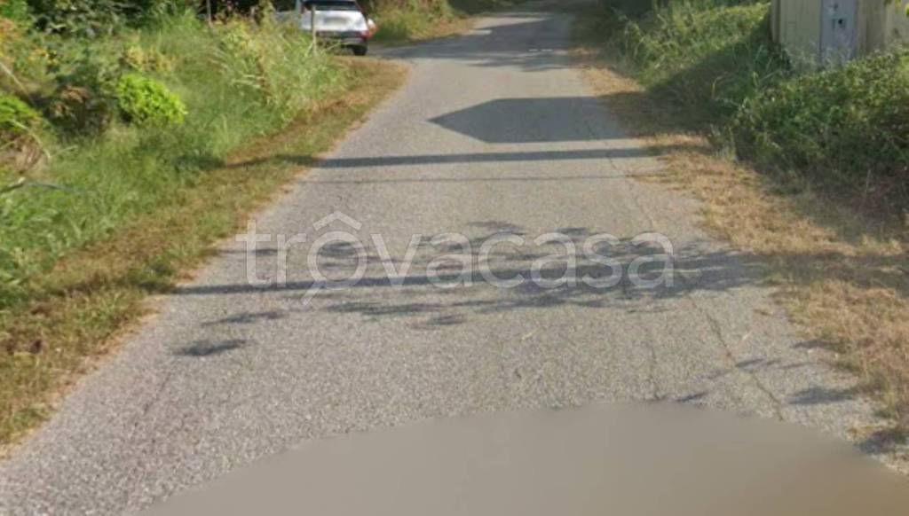 immagine annuncio 5 di 11