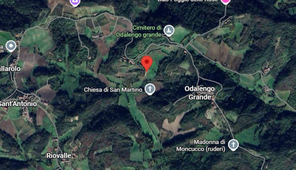 immagine annuncio 2 di 11