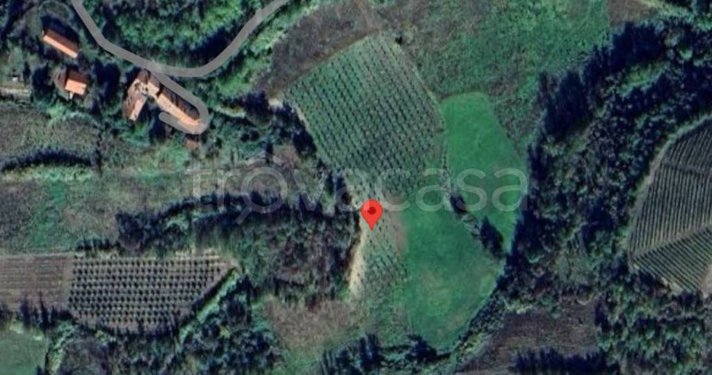 immagine annuncio 4 di 11