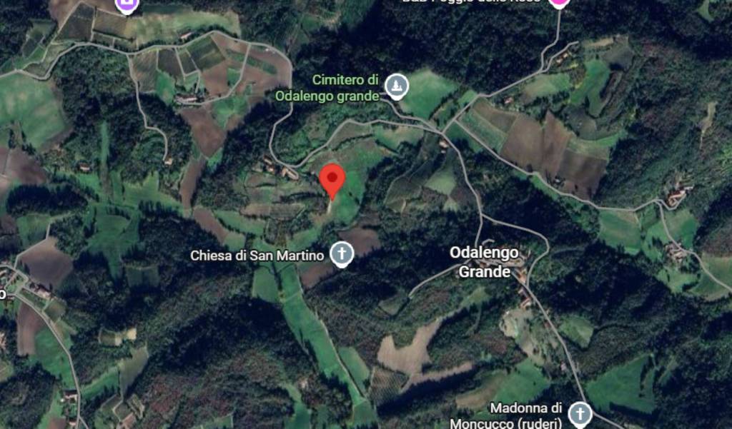 immagine annuncio 6 di 11