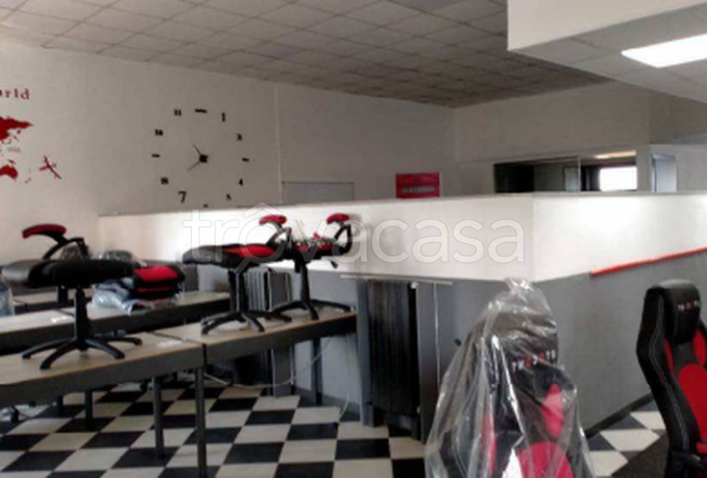 immagine annuncio 3 di 10