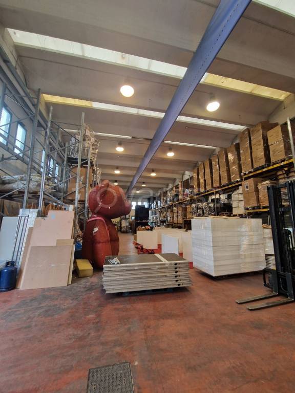 immagine annuncio 2 di 15