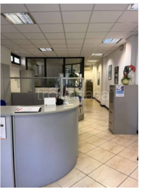 immagine annuncio 6 di 11