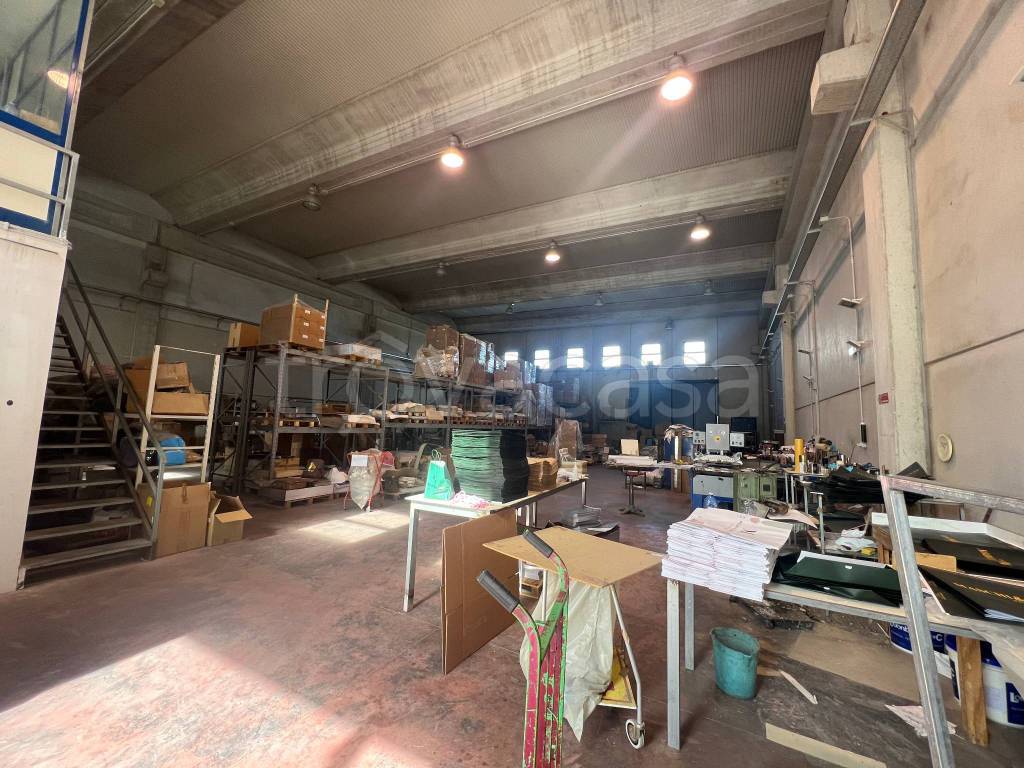 immagine annuncio 2 di 8