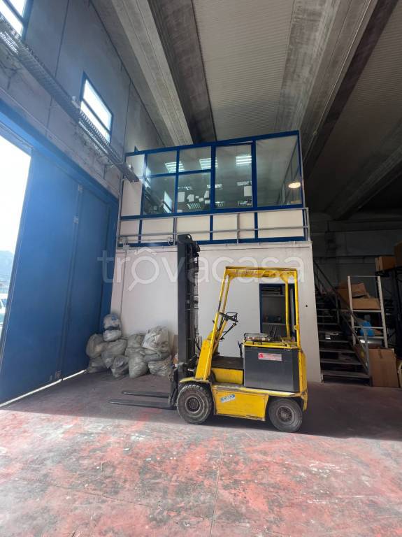 immagine annuncio 3 di 8