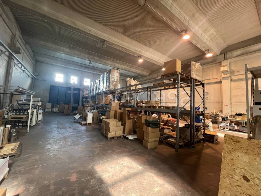 immagine annuncio 4 di 8