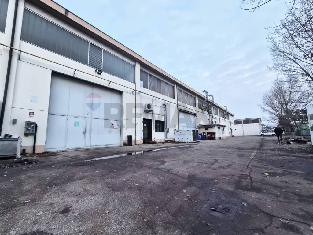 immagine annuncio 1 di 14