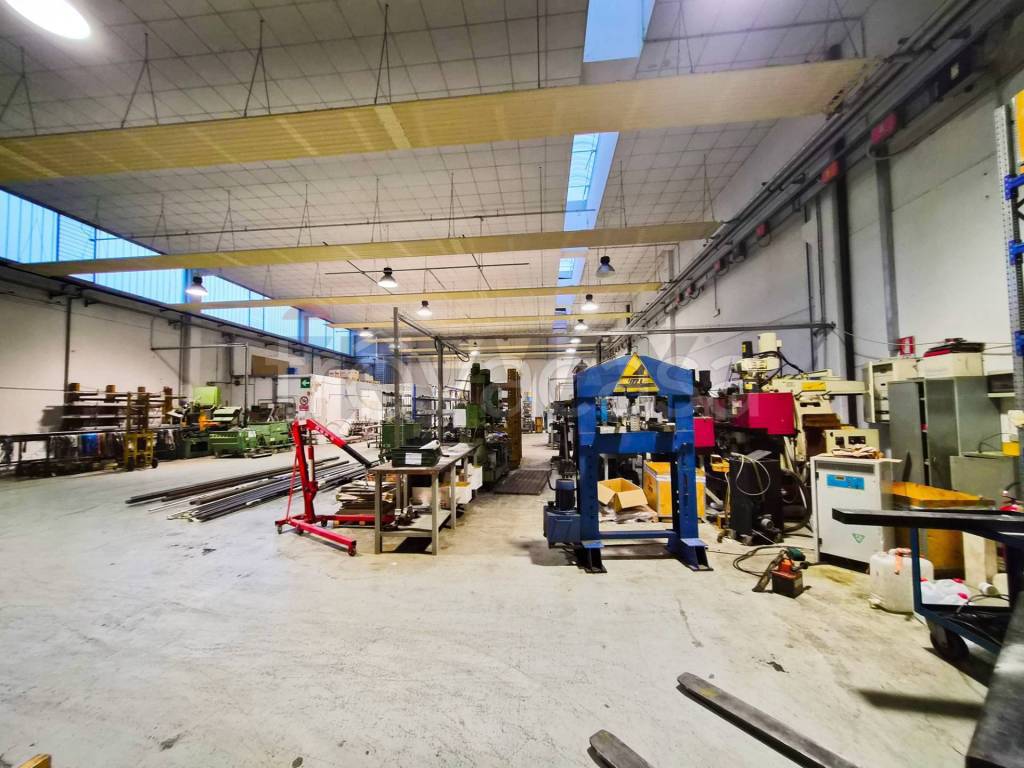 immagine annuncio 12 di 14