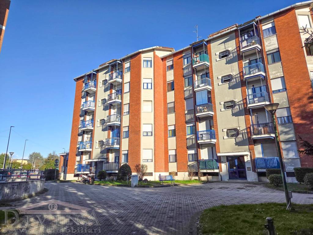 immagine annuncio 1 di 15