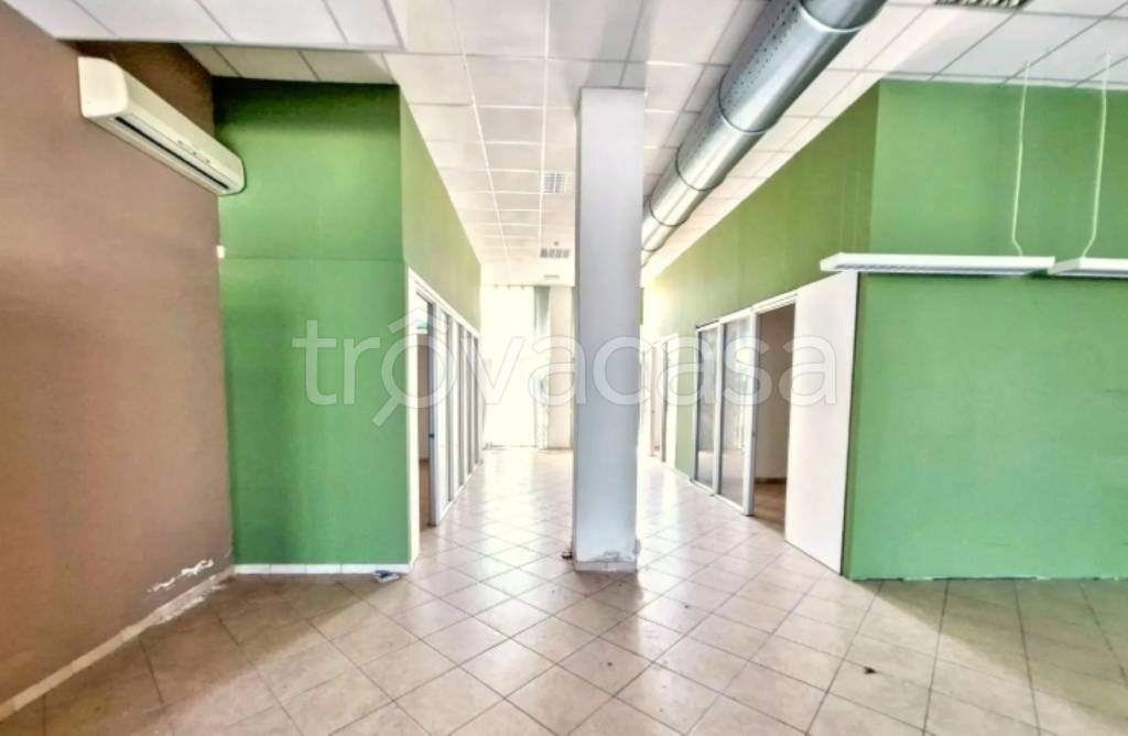 immagine annuncio 4 di 11