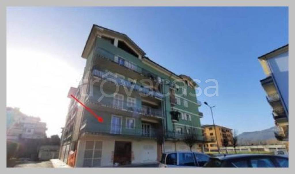 immagine annuncio 10 di 15