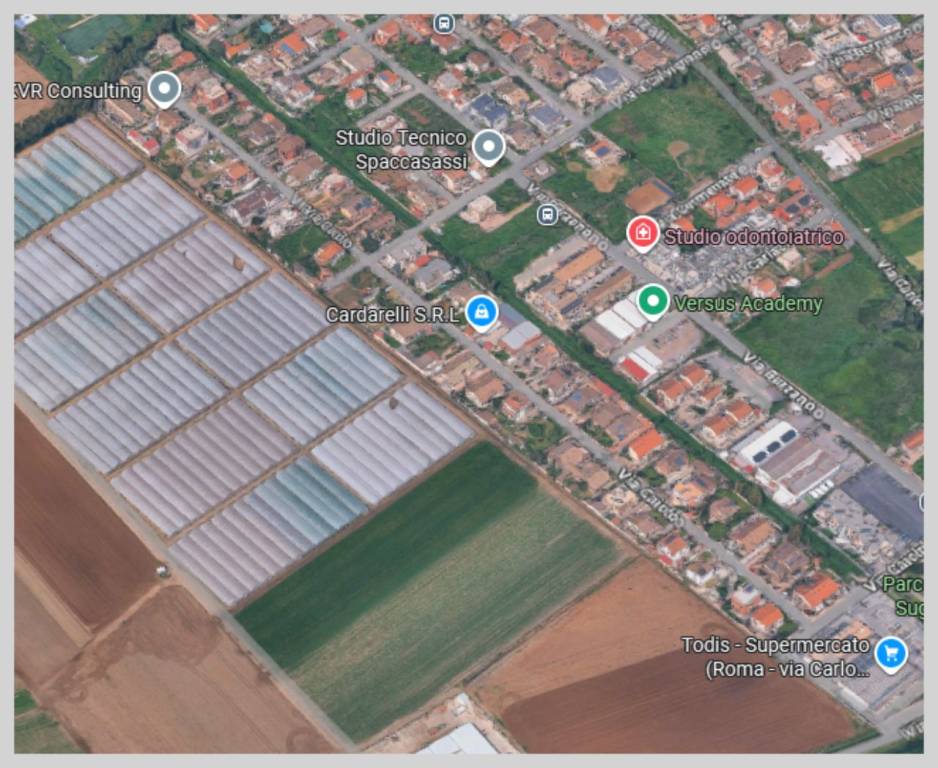 immagine annuncio 9 di 15