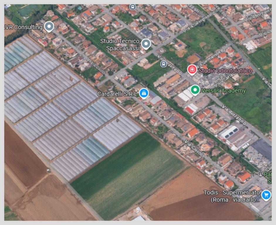 immagine annuncio 11 di 15