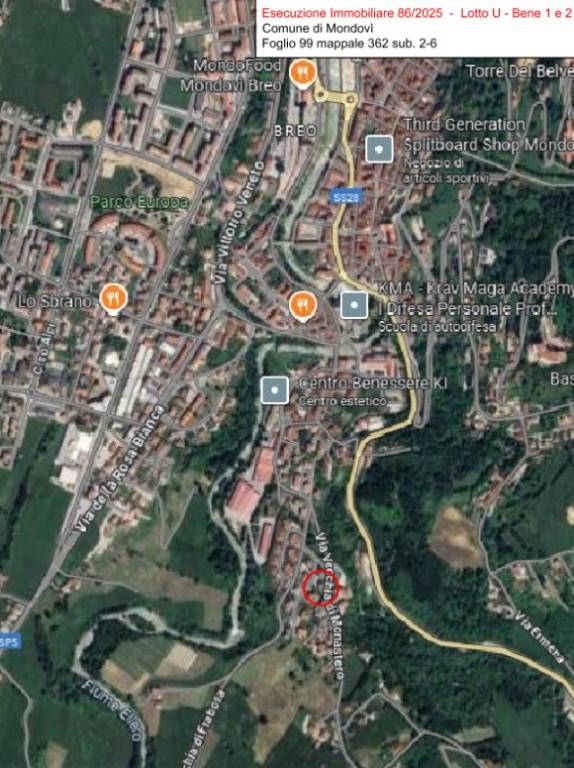 immagine annuncio 11 di 15