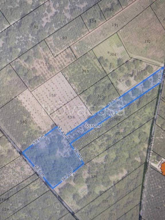 immagine annuncio 1 di 2