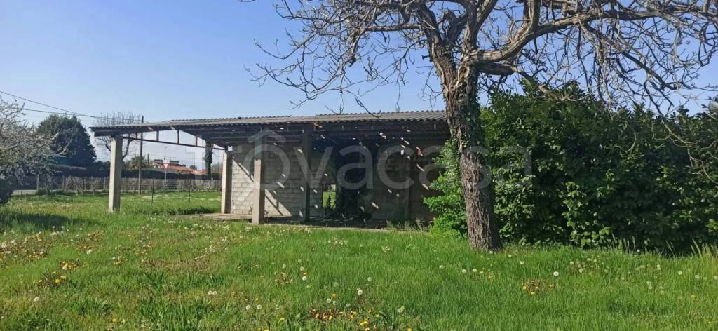 immagine annuncio 1 di 6