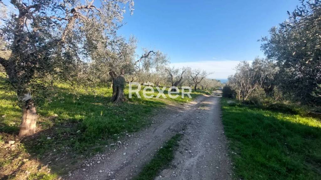 immagine annuncio 6 di 7