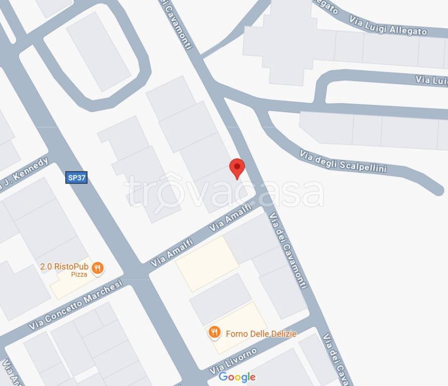 immagine annuncio 2 di 15