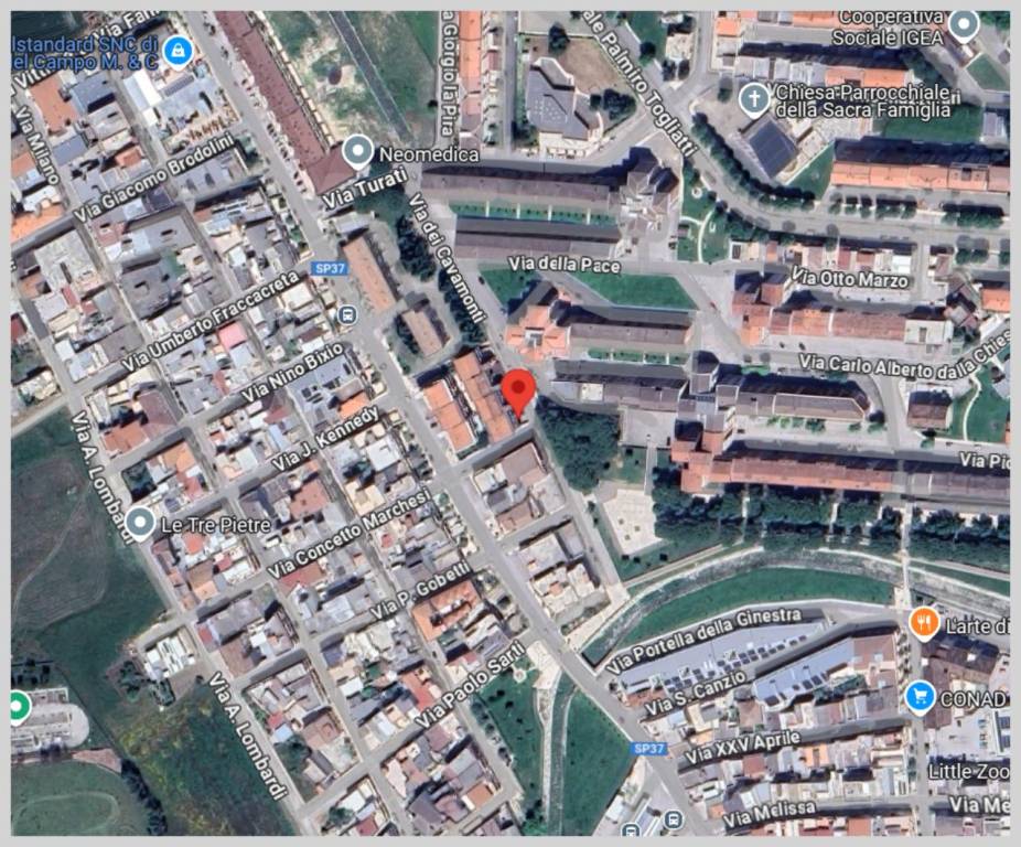 immagine annuncio 12 di 15