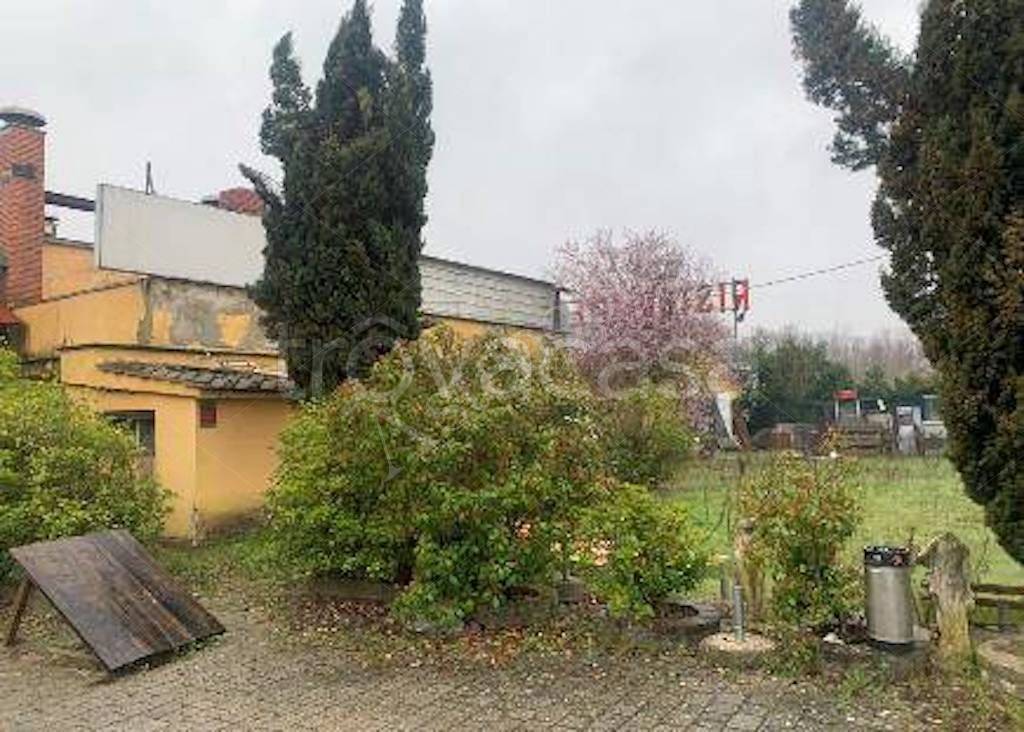 immagine annuncio 9 di 15