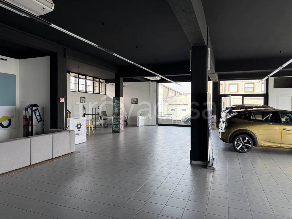 immagine annuncio 4 di 14