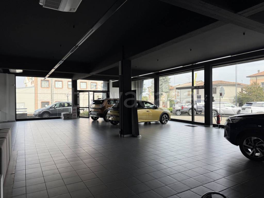 immagine annuncio 5 di 14