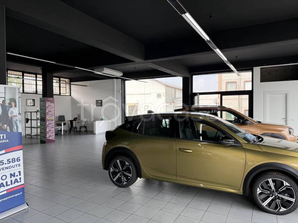 immagine annuncio 7 di 14