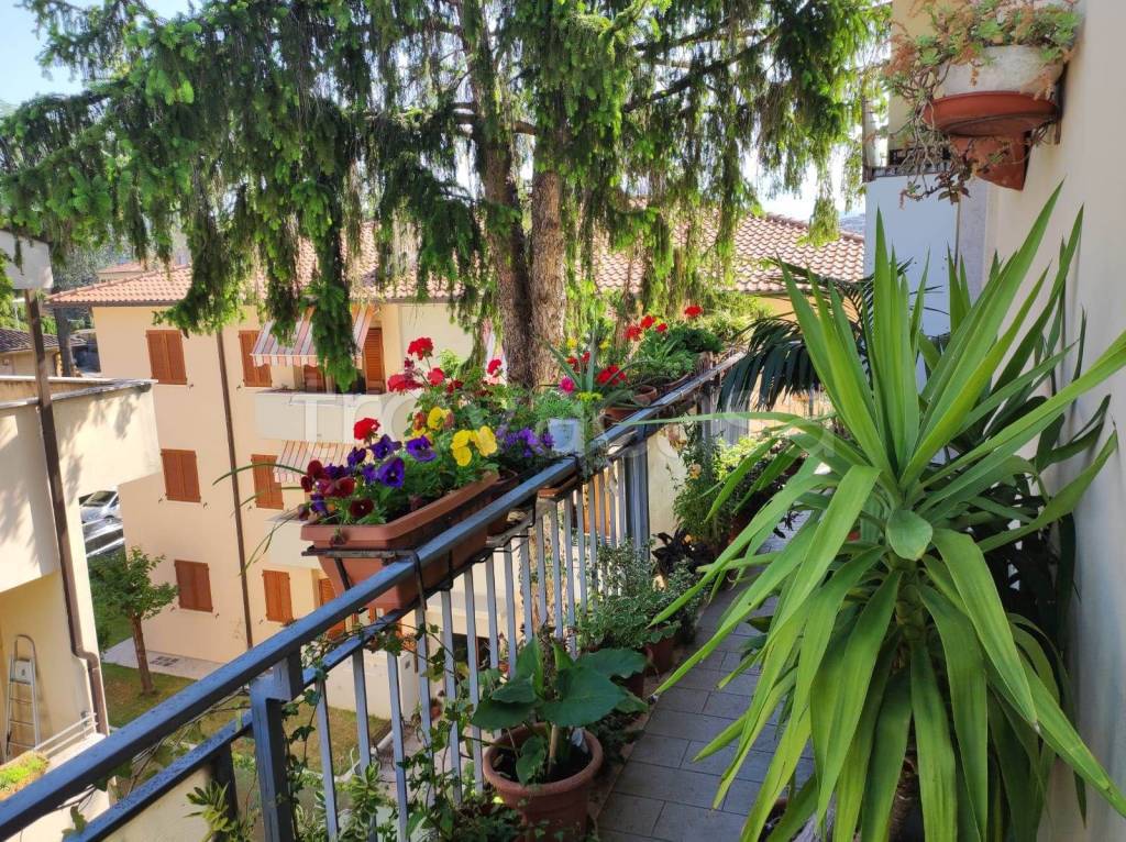 immagine annuncio 8 di 12