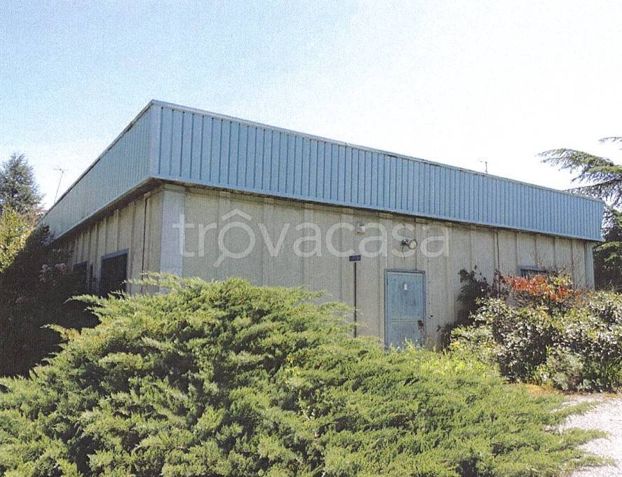 immagine annuncio 2 di 8