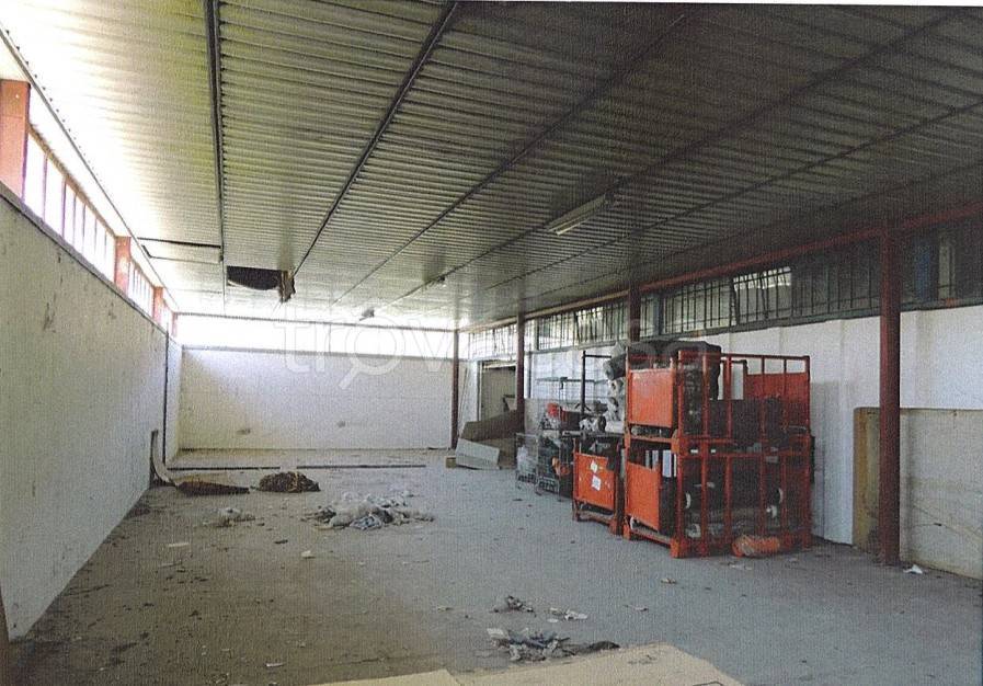 immagine annuncio 5 di 8