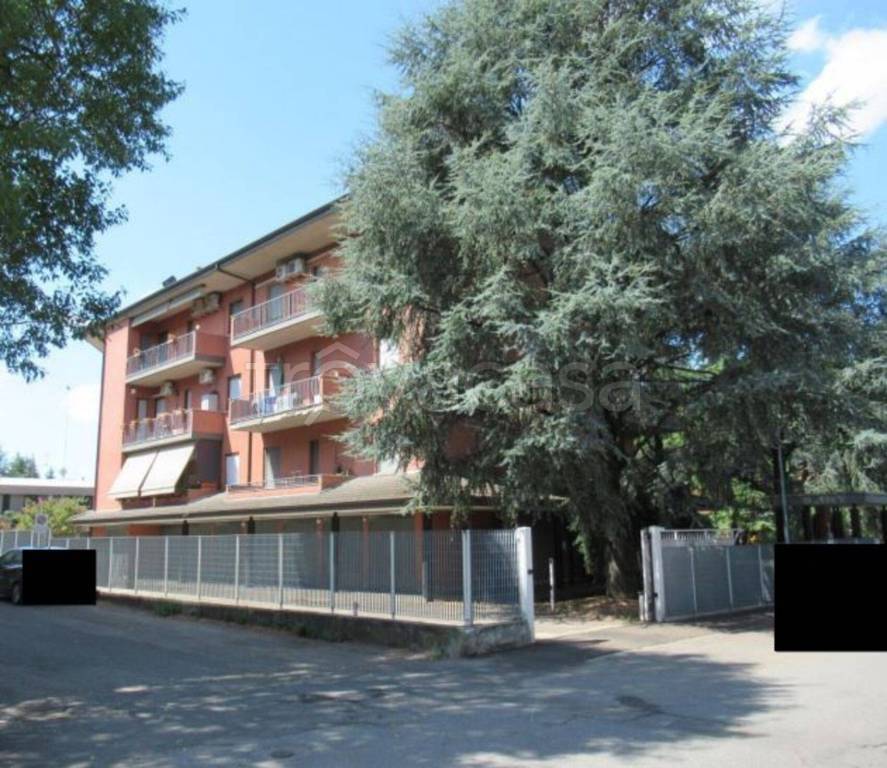 immagine annuncio 4 di 12