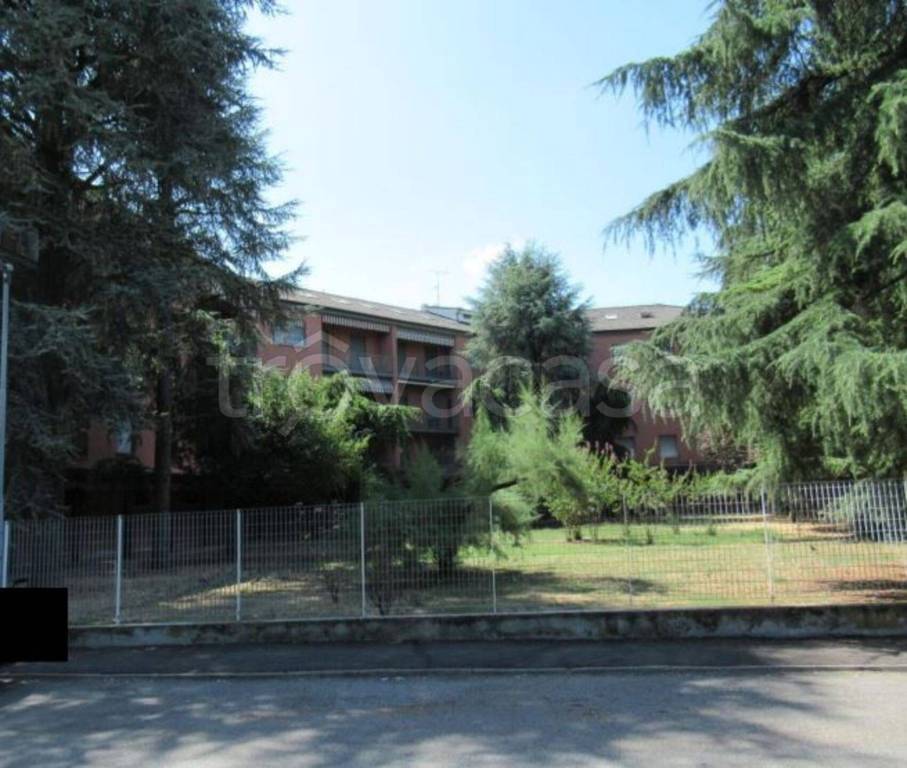 immagine annuncio 5 di 12