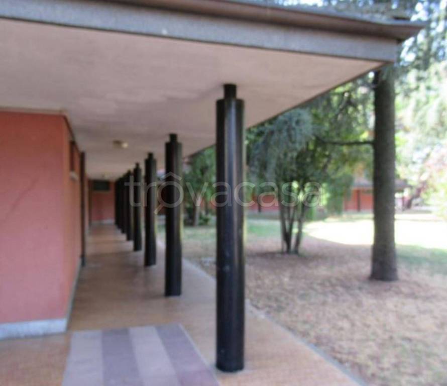 immagine annuncio 6 di 12