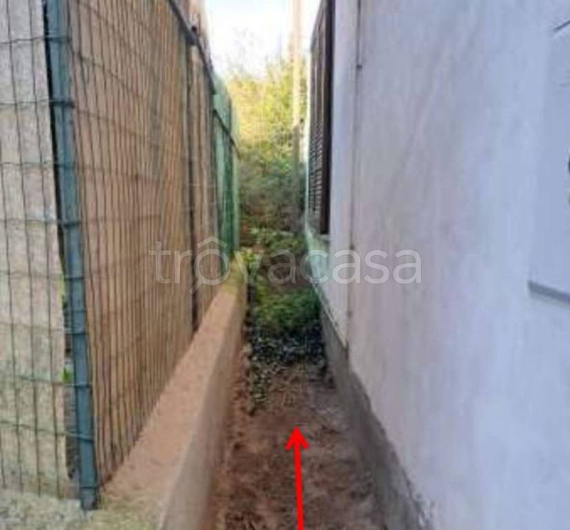 immagine annuncio 5 di 14