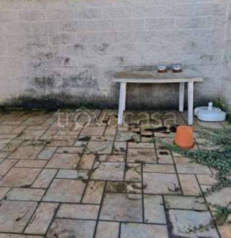 immagine annuncio 10 di 14