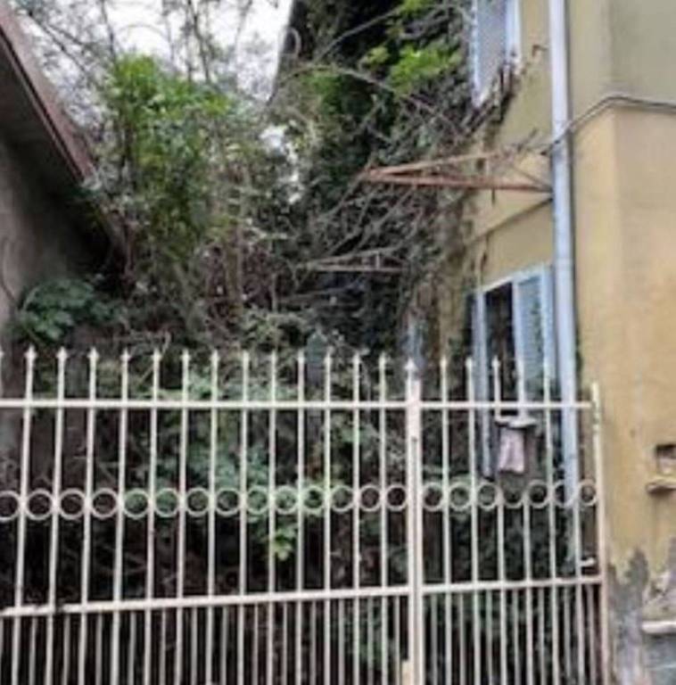 immagine annuncio 2 di 12