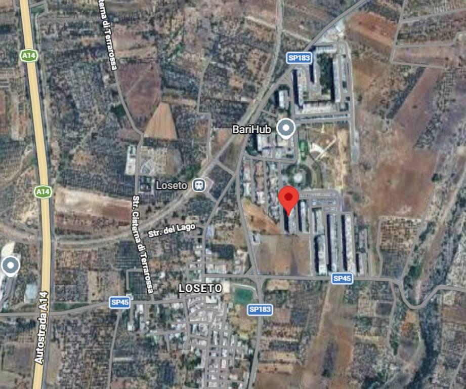 immagine annuncio 3 di 10