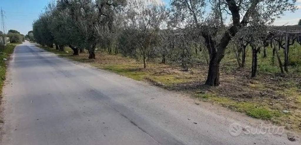 immagine annuncio 1 di 6