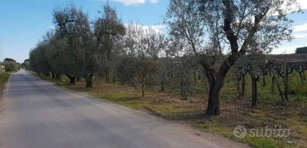 immagine annuncio 4 di 6