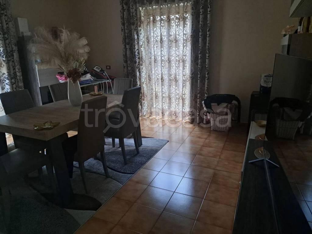 immagine annuncio 3 di 8