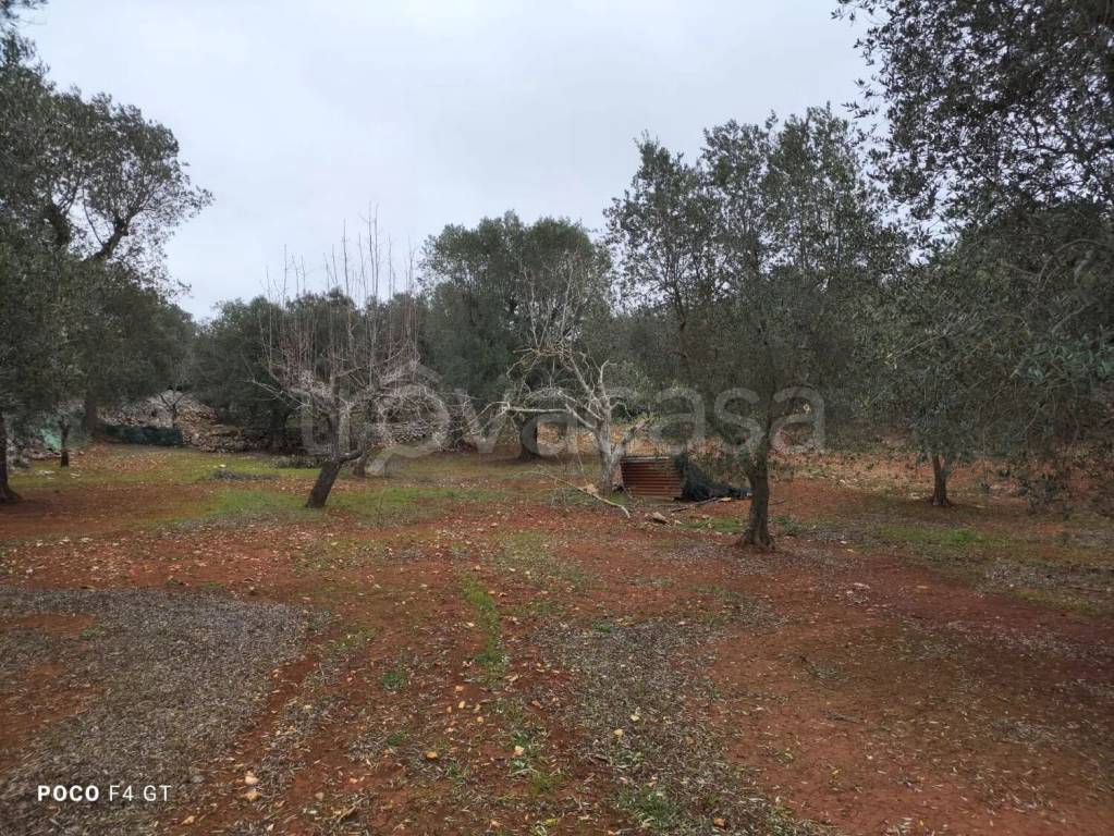 immagine annuncio 2 di 8