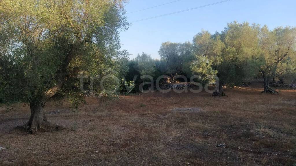 immagine annuncio 4 di 7