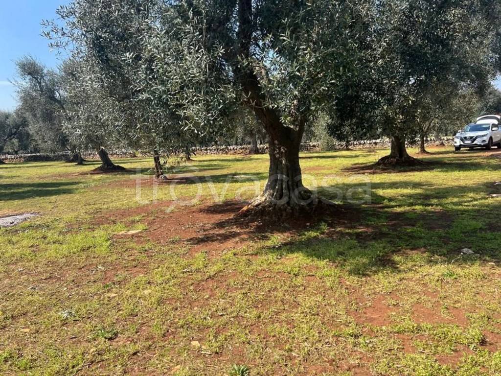 immagine annuncio 5 di 8