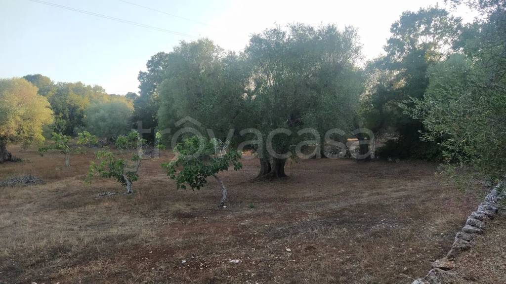 immagine annuncio 5 di 7