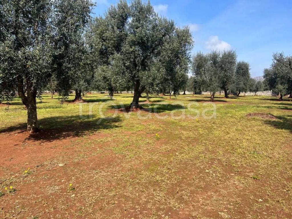 immagine annuncio 6 di 8