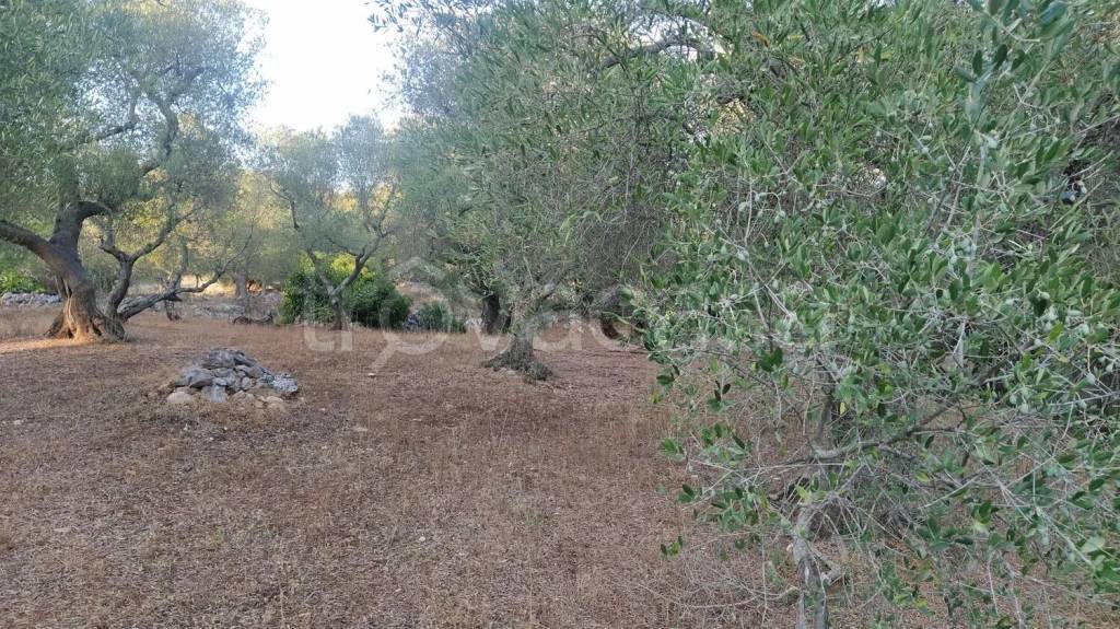 immagine annuncio 6 di 7