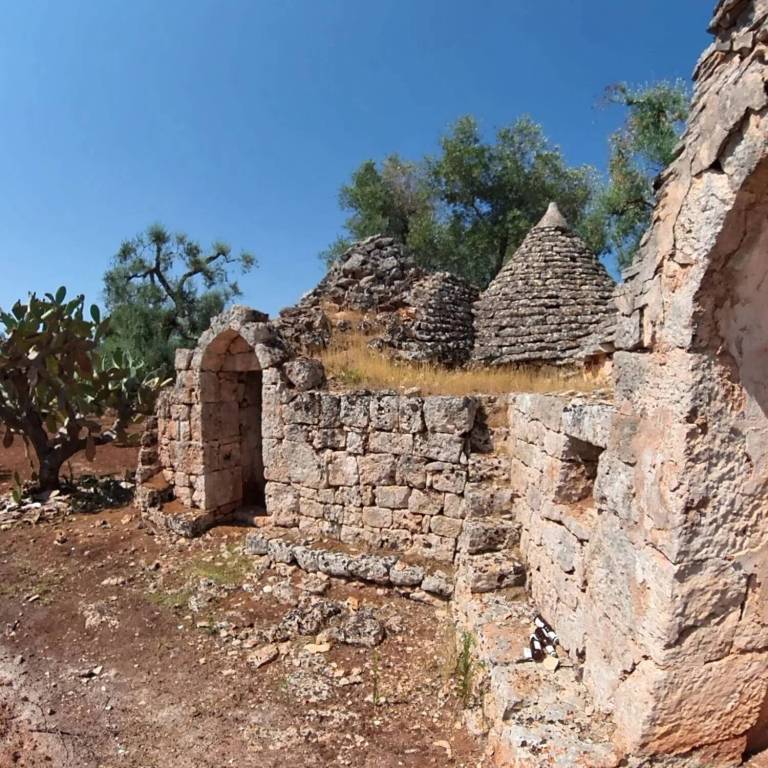 immagine annuncio 3 di 12