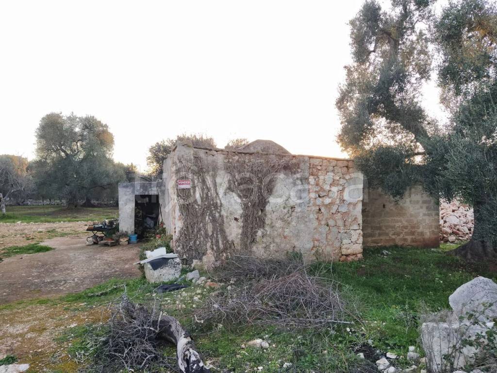 immagine annuncio 1 di 12