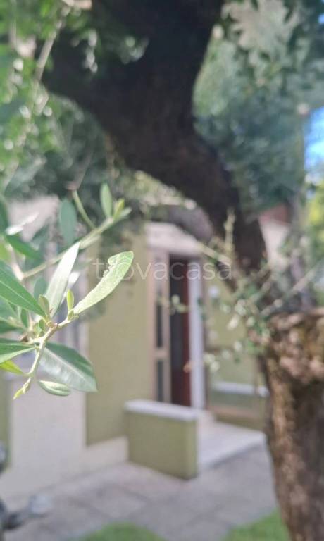 immagine annuncio 1 di 14